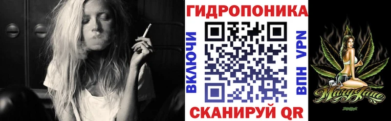 shop телеграм  Советск  Конопля сатива  мега ССЫЛКА 